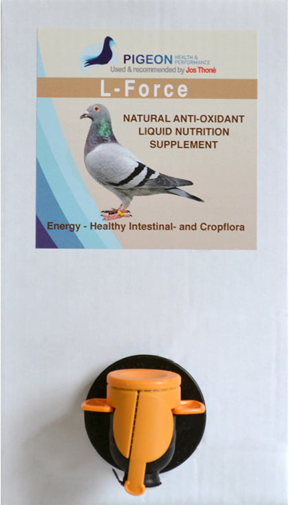 ADENO COLI, Youngster disease,... – the plague of this time!