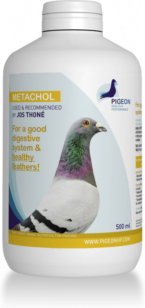 METACHOL, HEALTHY FEATHERS by a GOOD DIGESTION